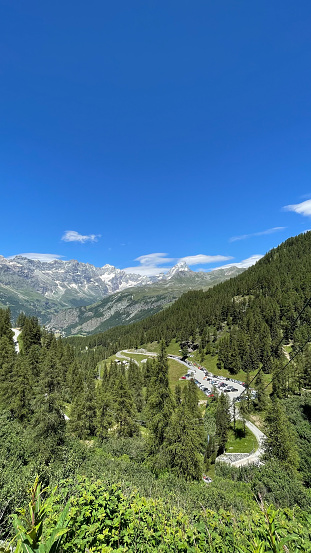 High angle view of a green forest with Matterhorn mountain peak on background