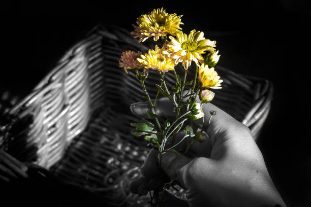 A hand holding a sprig of yellow flowers