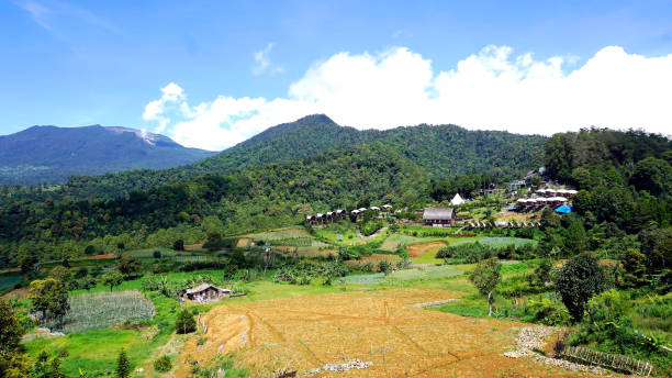 istock Panorama of Rice Plant in Cipanas 2149076797