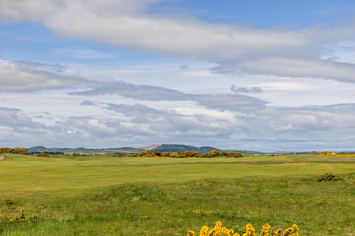 St Andrews - United Kingdom. May 27, 2023: View of The St Andrews golf course showcases its vast fairways and natural hazards. Blooming gorse adds a splash of color to the timeless elegance of this historic golfing landscape