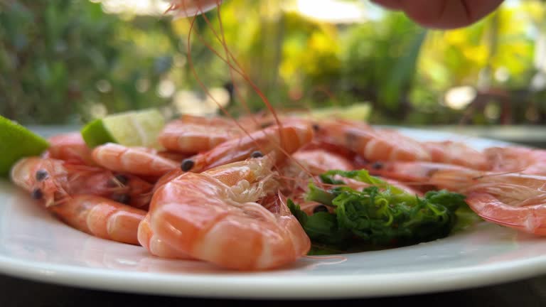 grilled river prawns or shrimps seafood style