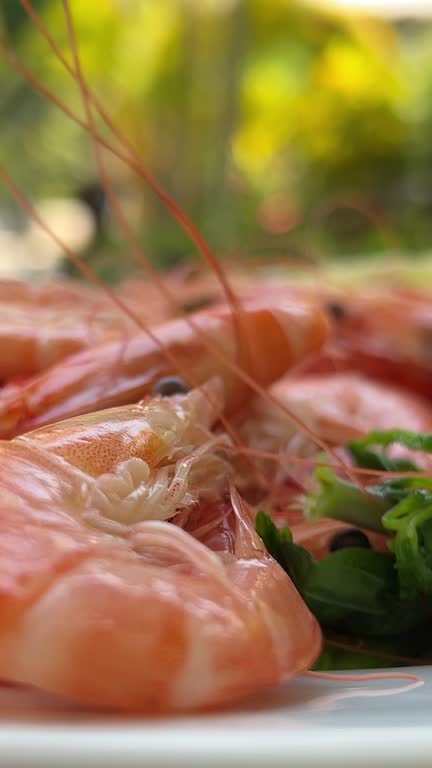 grilled river prawns or shrimps seafood style