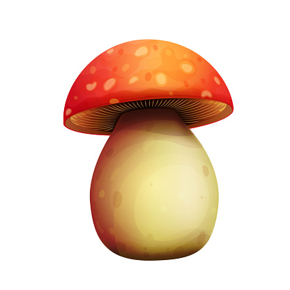 Fairy-fly agaric on a white background.