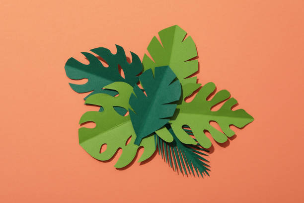 istock Paper green tropical leaves on a peach background. 2149085860