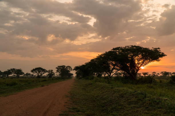 Sunrise in the Queen Elizabeth National Park, Uganda