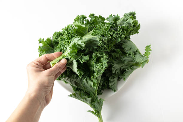 istock A bunch of fresh kale leaves on a white background. 2149087955