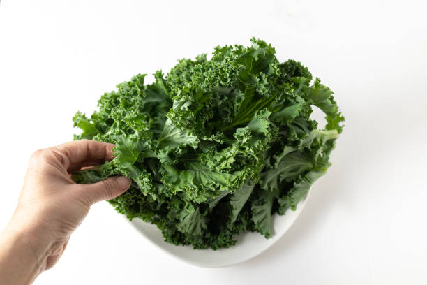 istock A bunch of fresh kale leaves on a white background. 2149087959