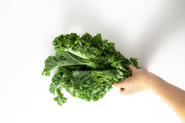 istock A bunch of fresh kale leaves on a white background. 2149088123