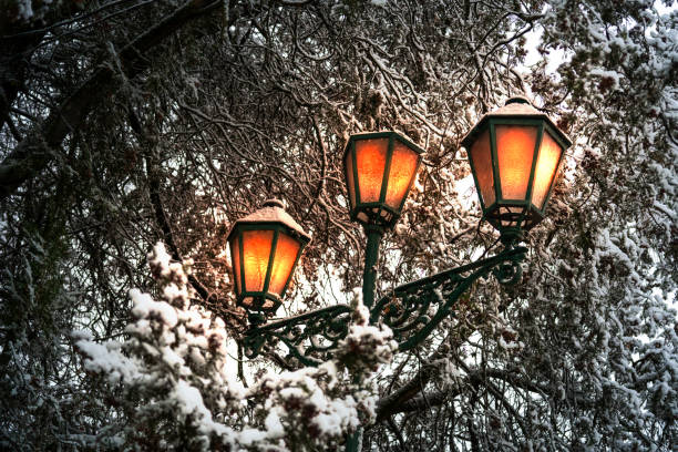 istock Evening park. Decorative burning lantern in thick branches of a tree with snow, close-up. 2149088479