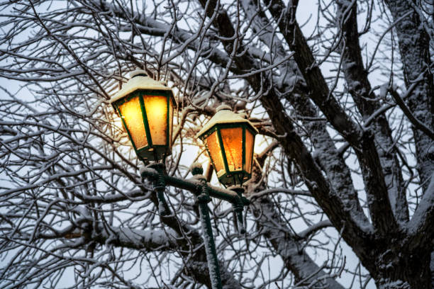 istock Evening park. Decorative burning lantern in thick branches of a tree with snow, close-up. 2149088523