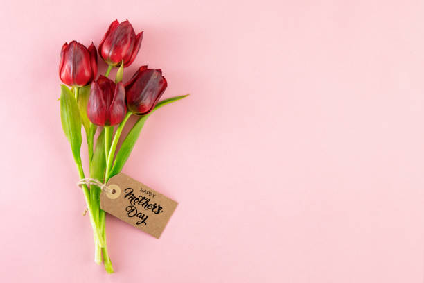 istock Beautiful Tulips on Pink Background 2149090232
