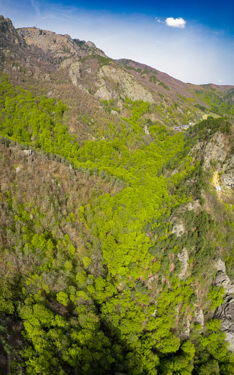 Aerial vertical panorama above blooming beech forests located in a narrow canyon, under sharp mountain peaks. The steep cliffs are covered with vast woodlands. Springtime, Cozia, Carpathia, Romania.