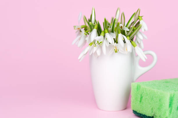 Spring flowers and kitchen sponge on a pink background. Spring cleaning. Close-up. Copy space. Selective focus.