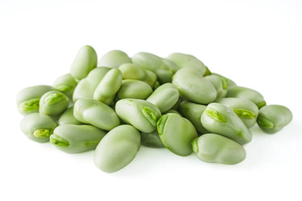 istock fresh greens broad beans fava on a white background 2149092600