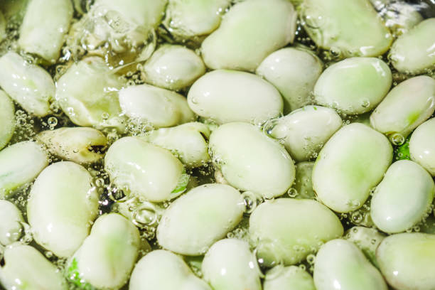 fresh greens broad beans fava boiled on a dark background.