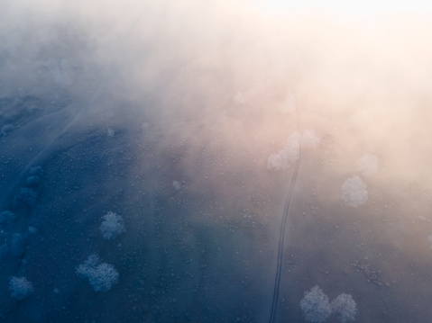 Clouds over the frost-covered trees in winter forest at foggy sunrise. Aerial view. Winter landscape