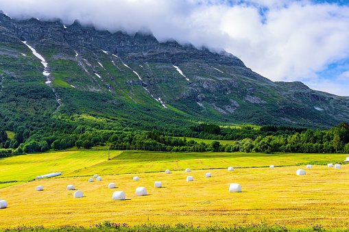 Picturesque mountains in central Norway. Waterfalls pour from the peaks into the lake Eidsvatnet.    Summer in Scandinavia. In the fields lie sheaves of grass prepared for the winter.