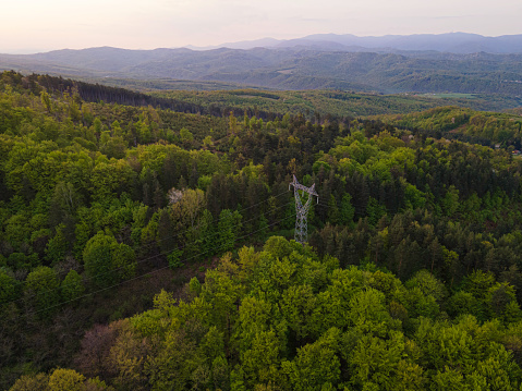 Clean energy future. Aerial view of innovative transmission towers passing through green forests in spring at sunrise. Energy translation services.