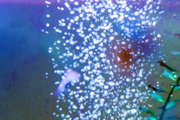 Air bubbles in an aquarium, Oxygen under water. Bubbles under water, macro photography. background, texture
