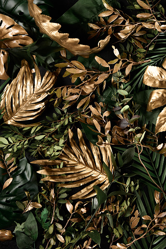 Golden and Green Tropical Leaves Arrangement in Natural Daylight.