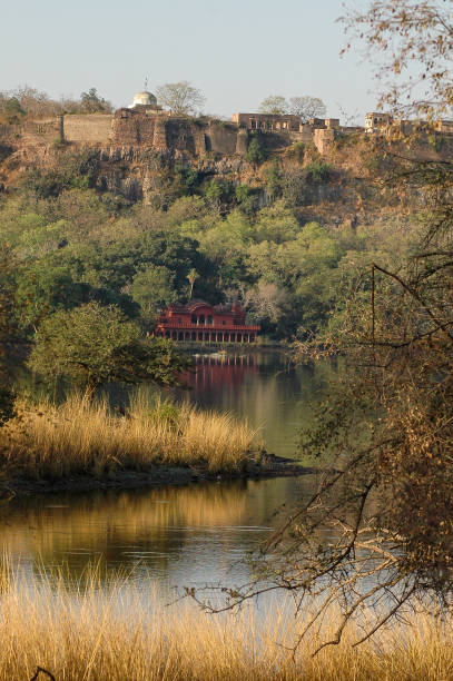 istock Landscape old buildings in Ranthambore, Rajasthan, India 2149099546