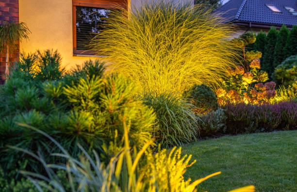 istock LED Outdoor Lighting Illuminated Backyard Garden 2149100513