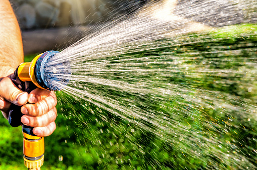 Gardener's hand holds a hose with a sprayer and watered green lawn garden in sunny day