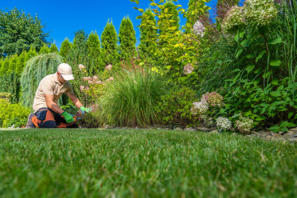 istock Seasonal Residential Backyard Maintenance 2149100618