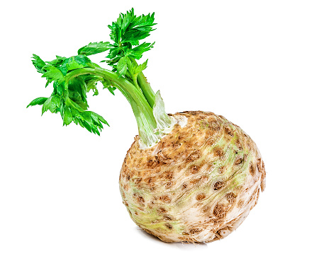 Ripe organic celery root with twig isolated on white background