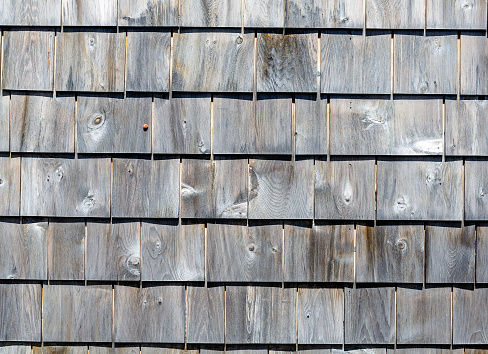Close view of several rows of weathered and grayed cedar shingles in the morning light.