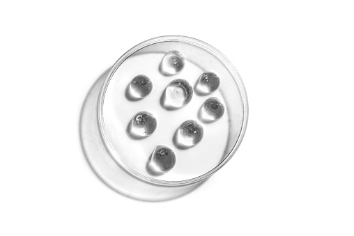clear gel drops in petri dish isolated on white background. Cosmetic laboratory research, medical or science test concept.
