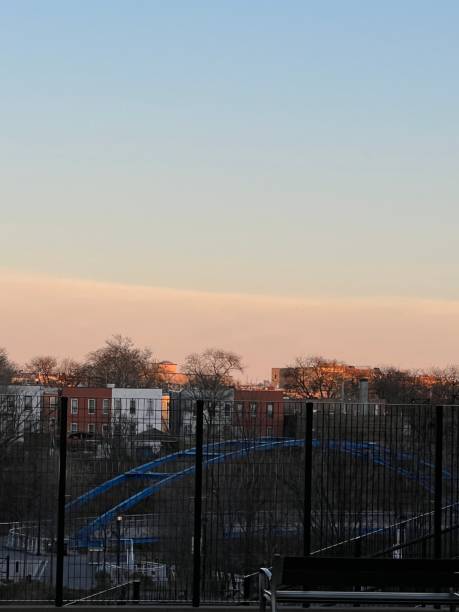 Bronx park at the morning