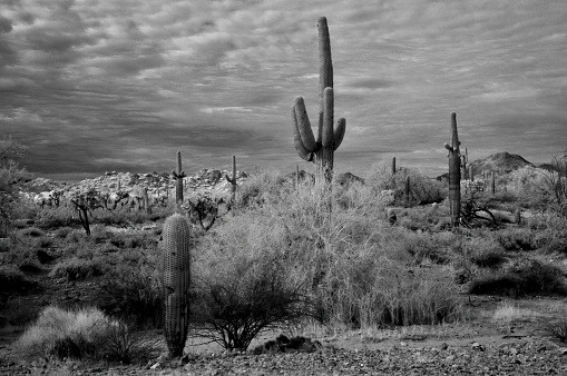 The Vast Sonora desert San Tan mountains in black and white in central Arizona USA on a late Spring morning