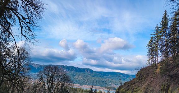 View of the Columbia River from Multnomah Falls in Oregon in the USA