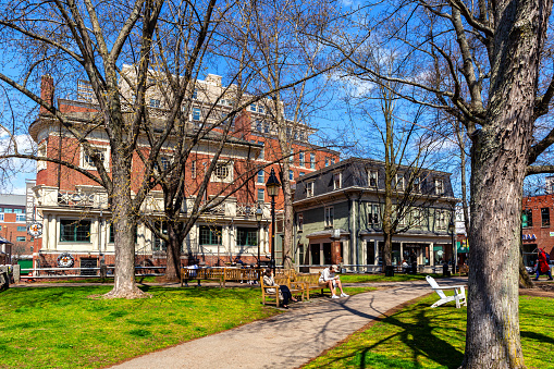 Cambridge, Massachusetts, USA - April 15, 2024: Winthrop Park is a historic park located in the heart of Harvard Square in Cambridge, Massachusetts. It was originally the site of Cambridges first marketplace in the 1630s, pre-dating even the founding of Harvard University.