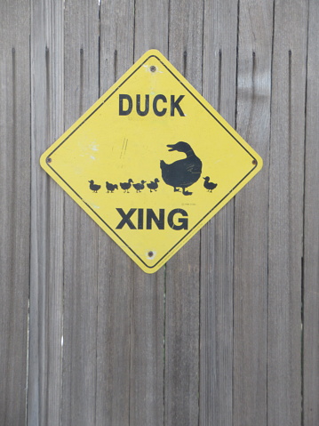 Duck Crossing Sign on wooden planks