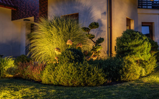 istock Night Time Illuminated Residential Backyard Garden 2149112163