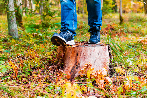 hiker feet and hiking sneakers on tree stump in autumn forest. Man standing in autumn forest, wearing sport shoes.Outdoor adventure,nature concept.