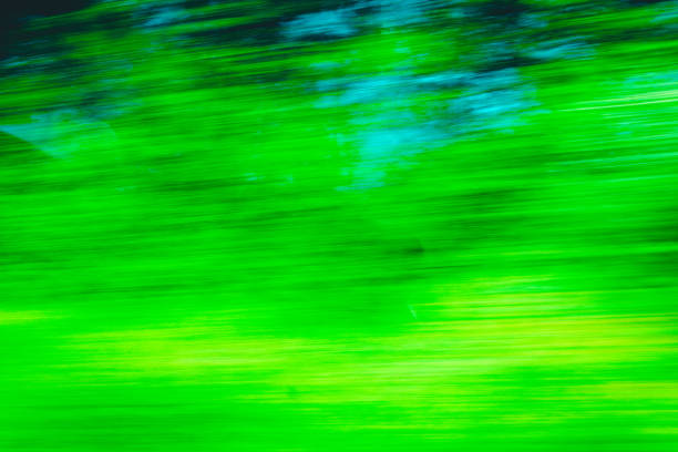 Abstract Green trees motion blurred green leaves background.
