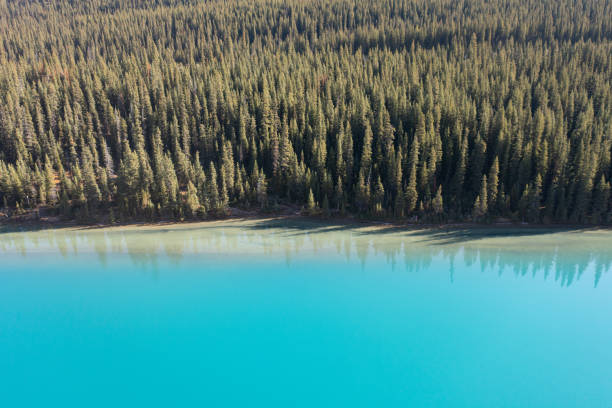 Aerial view of calm Bow Lake with its beautiful turquoise waters, in the Canadian Rockies.