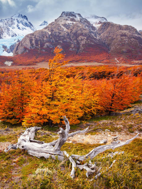 Backpacker stands on rock above lake with distant mountain summits, Fitzroy area, Patagonia