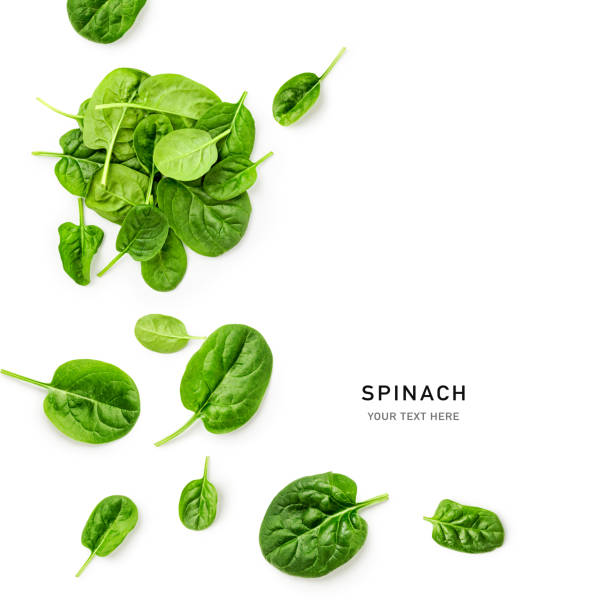 istock Fresh spinach leaves pile top view isolated on white background 2149118841