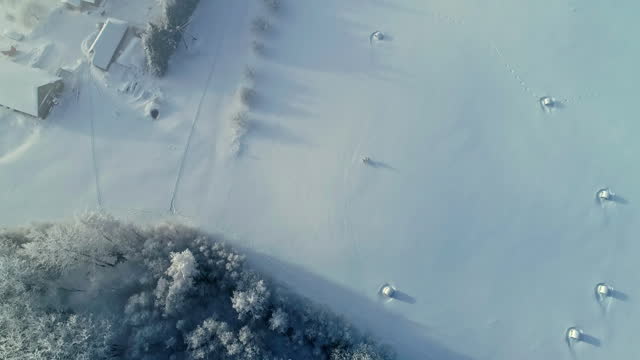 Aerial view of Finland frozen forest, deep white winter in Scandinavia