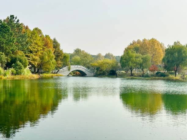 istock The small bridge over the lake 2149122202