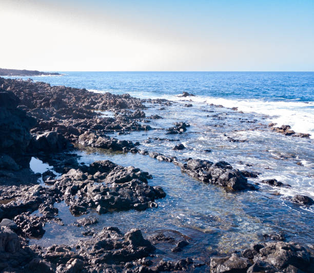 istock Panoramic view of Atlantic Ocean in a sunny day with calm sea and small waves crashing against the rocks, south of Tenerife, Canary Islands. 2149122955