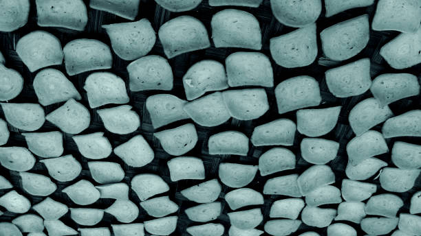 istock Crackers that have been dried in the sun 2149123138