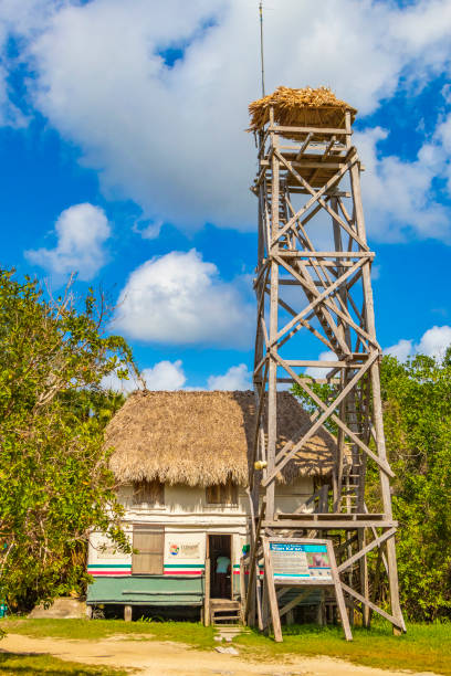 Muyil Mexico 02. February 2022 Panorama view to the Muyil Lagoon in the tropical jungle nature forest with boats people watch tower in Sian Ka'an National park Muyil Chunyaxche Quintana Roo Mexico.