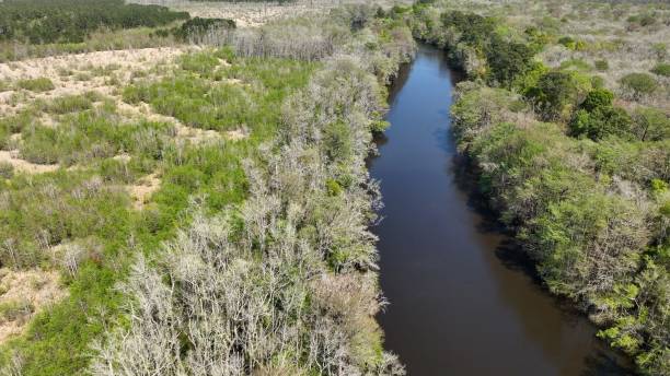 istock Nature landscape with trees, marshland by river during spring with sunshine in South Carolina low county 2149125768