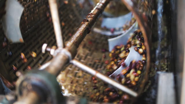 How coffee is made washing process  coffee roaster