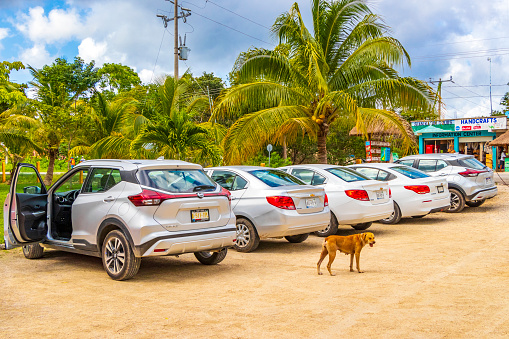 Muyil Mexico 02. February 2022 Parking lot with cars and gravel path road in the jungle and tropical nature and dogs to Muyil Mayan ruins in Chunyaxche Quintana Roo Mexico.